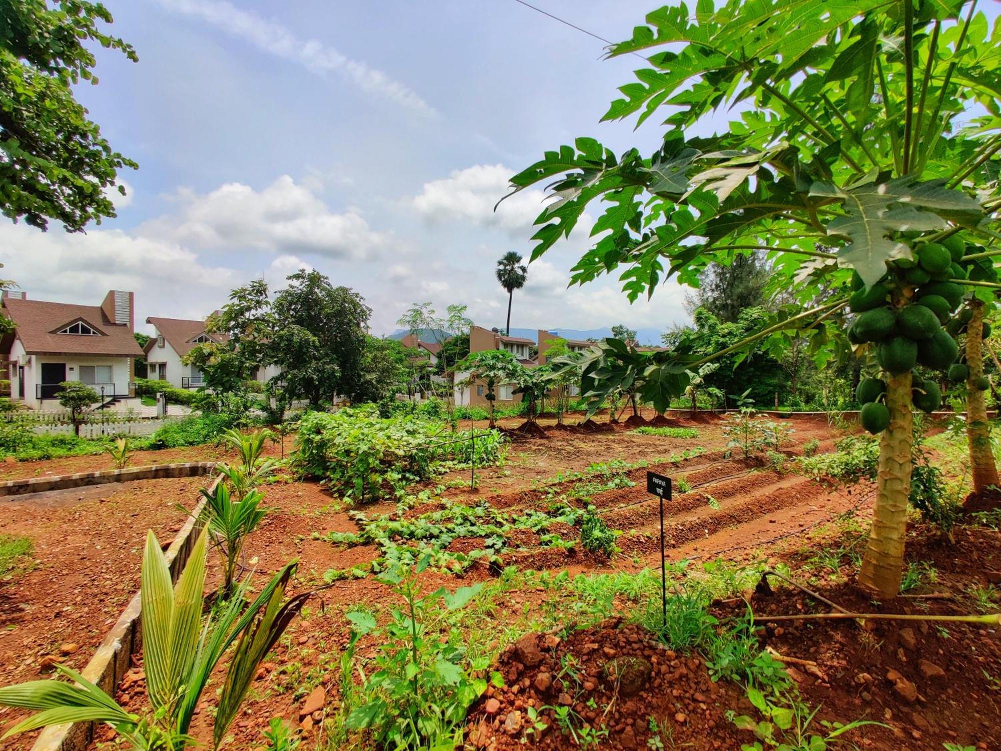 Pushpam Sanskruti Resort Karjat - A Pure Veg Resort Dhamni Экстерьер фото